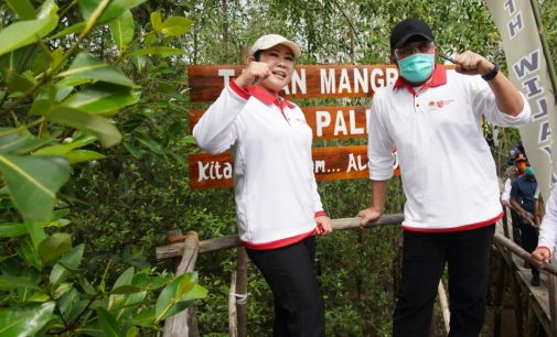 Herman Deru : Taman Wisata Mangrove Sumsel Siap Saingi Bali
