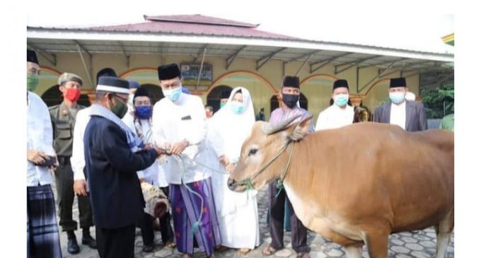 Sekda Prabumulih Sumbang Satu Ekor Sapi Kurban