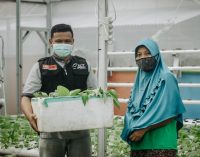 Beralih ke Online, Upaya Perda Pertahankan Usaha dimasa Pandemi