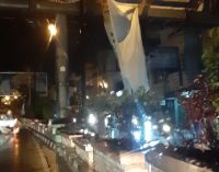 Pohon Tumbang, BPBD Turun Ke Lapangan