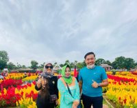 Taman Celosia, Spot Selfie dengan Hamparan Bunga jengger nan Unik