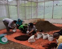 PLN Siap Optimalkan Pemanfaatan FABA, Dorong Kualitas Lingkungan yang Lebih Baik