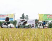 Mentan Dukung Usulan Herman Deru Ekspor Beras Sumsel