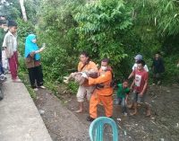 Dua Korban Tenggelam di Sungai Batanghari Leko Berhasil Ditemukan