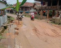 Resah Jalan Rusak, Warga Desa Pagar Raya Tanam Pisang