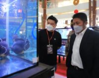Herman Deru Buka Sriwijaya Goldfish Competition 2022