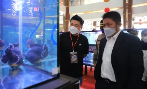 Herman Deru Buka Sriwijaya Goldfish Competition 2022