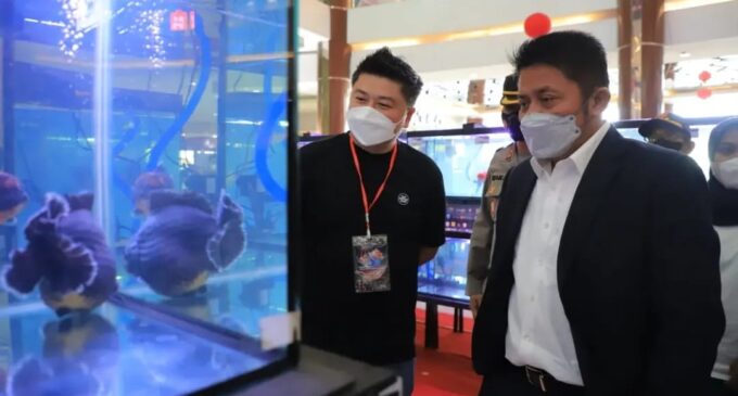 Herman Deru Buka Sriwijaya Goldfish Competition 2022