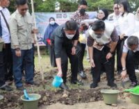 DPP Gencar Indonesia Masifkan Kebun Kota Dukung Program Sumsel Mandiri Pangan Inisiasi Herman Deru 
