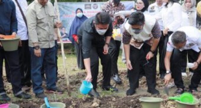 DPP Gencar Indonesia Masifkan Kebun Kota Dukung Program Sumsel Mandiri Pangan Inisiasi Herman Deru 