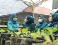 Feby Deru Dorong TP PKK Banyuasin Lakukan Revitalisasi Dasawisma 