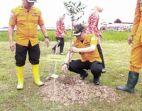 Peringati HUT, Basarnas Palembang Tanam 100 Bibit Pohon