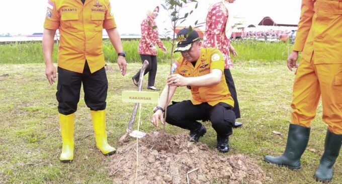 Peringati HUT, Basarnas Palembang Tanam 100 Bibit Pohon