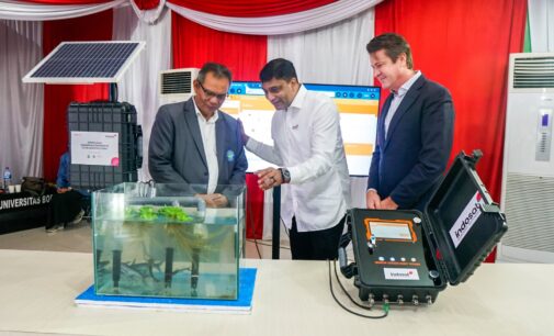 Indosat – GSMA Kolaborasi dalam Program Digitalisasi Konservasi Mangrove di Kaltara