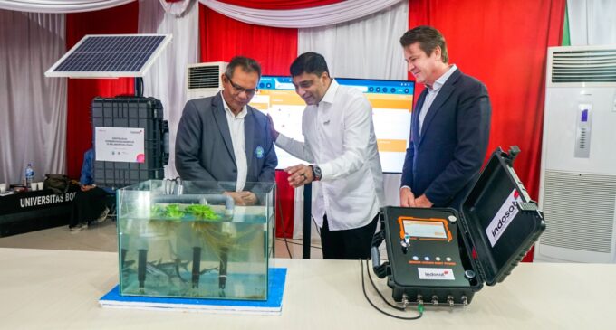 Indosat – GSMA Kolaborasi dalam Program Digitalisasi Konservasi Mangrove di Kaltara