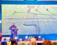 Sumsel Alami Deflasi 0,04 Persen Pada Mei 2023, Ini Penyebabnya