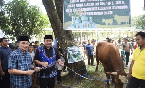 Gubernur Herman Deru Serahkan Sapi Qurban ke Masjid Agung Palembang 