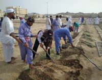 Jelang Wukuf, Jumlah Jemaah Sumsel Meninggal Bertambah