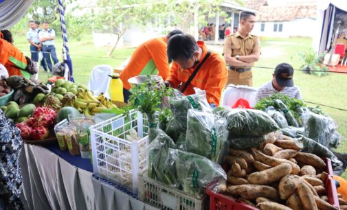 Juni 2023, Inflasi Sumsel Masih Dibawah Nasional