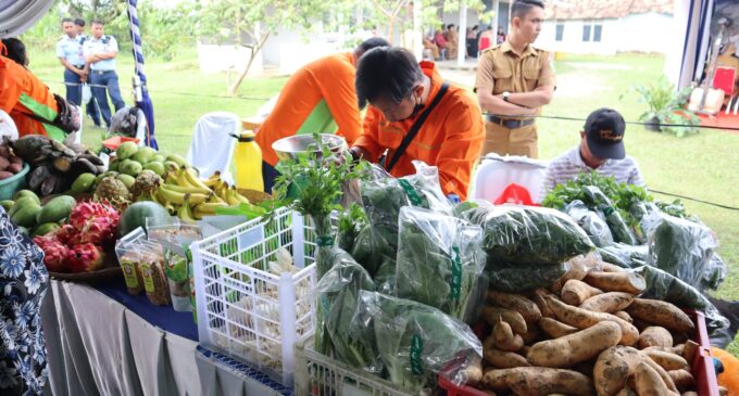Juni 2023, Inflasi Sumsel Masih Dibawah Nasional