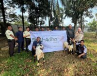 Astra Motor Sumsel Sumbang Hewan Kurban