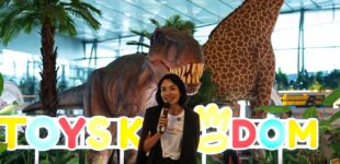 Toys Kingdom dan Angkasa Pura II Hadirkan Play-Experience di Bandara Soekarno-Hatta
