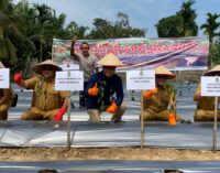 Gertam Serentak Cabai dan Bawang Merah se-Sumsel, Upaya Bersama Pengendalian Inflasi dan Peningkatan Kemandirian Pangan