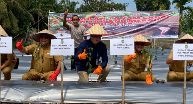 Gertam Serentak Cabai dan Bawang Merah se-Sumsel, Upaya Bersama Pengendalian Inflasi dan Peningkatan Kemandirian Pangan