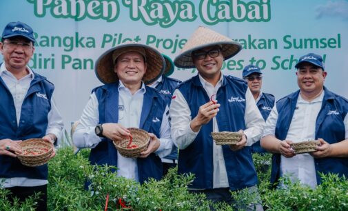 BI dan Pemprov Sumsel Lakukan Panen Cabai dan Berikan Apresiasi kepada Sekolah