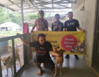 Maxim Rayakan World Animal Day Dengan Berbagi Kepada Anjing Terlantar di Palembang Dog Shelter
