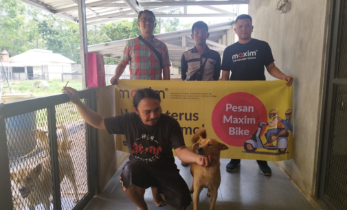 Maxim Rayakan World Animal Day Dengan Berbagi Kepada Anjing Terlantar di Palembang Dog Shelter