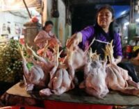 Sumsel Alami Inflasi 0,09 Persen pada Oktober 2024