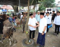Gubernur Sumsel Herman Deru Tinjau Pemotongan Qurban Usai Shalat Jumat dan Open House Iduladha