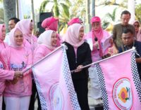 Feby Deru dan Lidyawati Cik Ujang Semarakkan Fun Walk HUT IBI ke-74