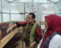 Tingkatkan Literasi Keuangan, OJK Sumsel Roadshow Sultan Muda di Lahat