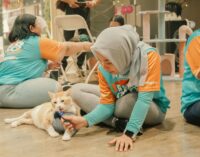 Diikuti Lebih dari 400 Pawrents dan Anabul Kesayangannya, PAWJOG 8 Berlangsung Seru dan Refreshing