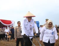 Polda Sumsel Inisiasi Tanam Jagung di Lahan Rawan Karhutla, Sekda: Wujud Nyata Sinergi Ketahanan Pangan