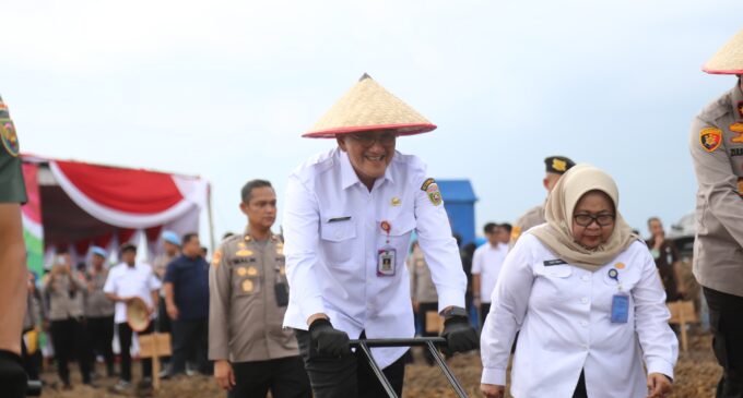 Polda Sumsel Inisiasi Tanam Jagung di Lahan Rawan Karhutla, Sekda: Wujud Nyata Sinergi Ketahanan Pangan