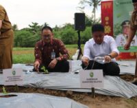 Gerakan Sumsel Mandiri Pangan 2025: Dari Desa, Panti, hingga Kantor