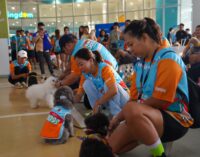 Perdana di Kota Wisata, PAWJOG 8 Sukses Curi Hati Ratusan Pawrents dan Anabul