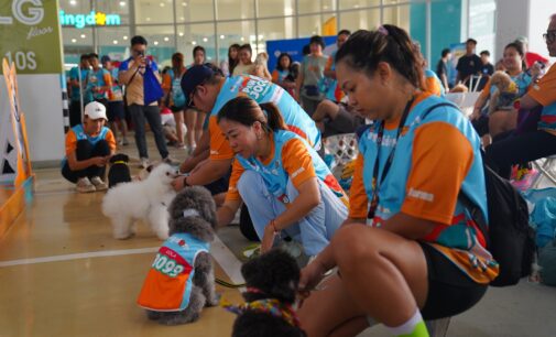 Perdana di Kota Wisata, PAWJOG 8 Sukses Curi Hati Ratusan Pawrents dan Anabul