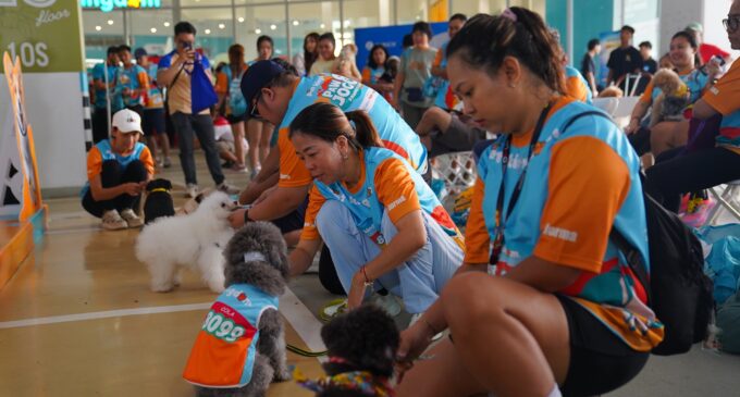 Perdana di Kota Wisata, PAWJOG 8 Sukses Curi Hati Ratusan Pawrents dan Anabul