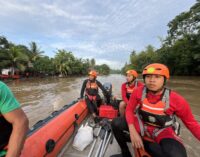 Tenggelam Saat Liburan ke Rumah Nenek, Basarnas Lakukan Pencarian