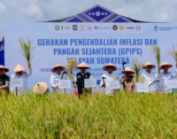 Fokuskan Ketahanan Pangan, GPIPS Jadi Strategi Baru Jaga Inflasi