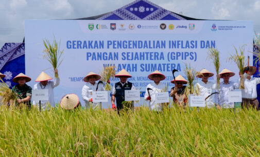 Fokuskan Ketahanan Pangan, GPIPS Jadi Strategi Baru Jaga Inflasi