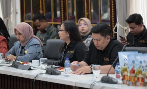 Staf Ahli TP PKK Sumsel Lidyawati Cik Ujang Matangkan Persiapan HKG ke-54, Rakon PKK, dan Rakerda Dekranasda 2026