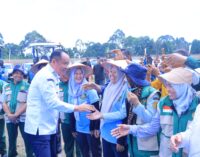 Hadiri Panen Raya Jagung di OKU Selatan, Wagub Cik Ujang Tegaskan Komitmen Sumsel Dukung Ketahanan Pangan Nasional