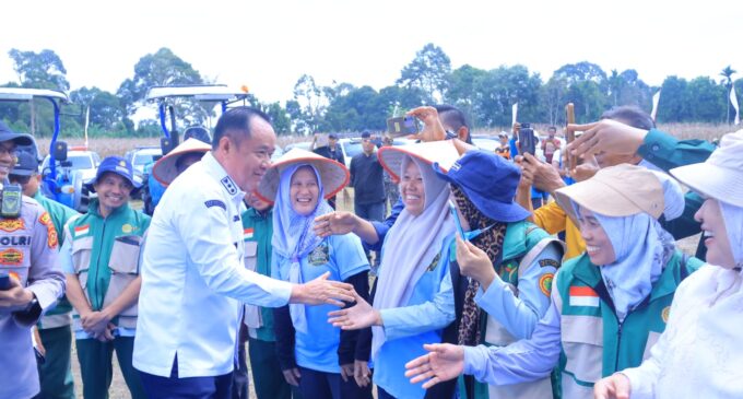 Hadiri Panen Raya Jagung di OKU Selatan, Wagub Cik Ujang Tegaskan Komitmen Sumsel Dukung Ketahanan Pangan Nasional
