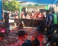ADO Sumsel Tebar Kepedulian Idul Adha, Salurkan Daging Kurban untuk Driver Online dan Warga Sekitar