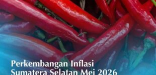Kolaborasi TPID Sumsel Sukses Jaga Stabilitas Harga pada Momen HKBN Iduladha
